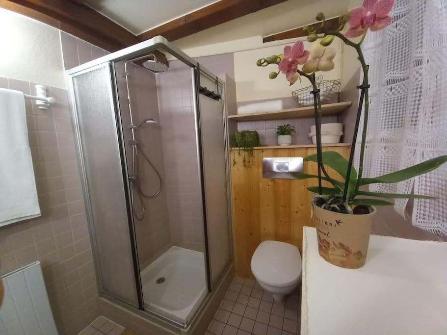 S'Gleina Gleck, In The Heart Of A Wine City, Charmant Studio 1 Piece Et 1 Salle De Bain Kaysersberg-Vignoble Extérieur photo