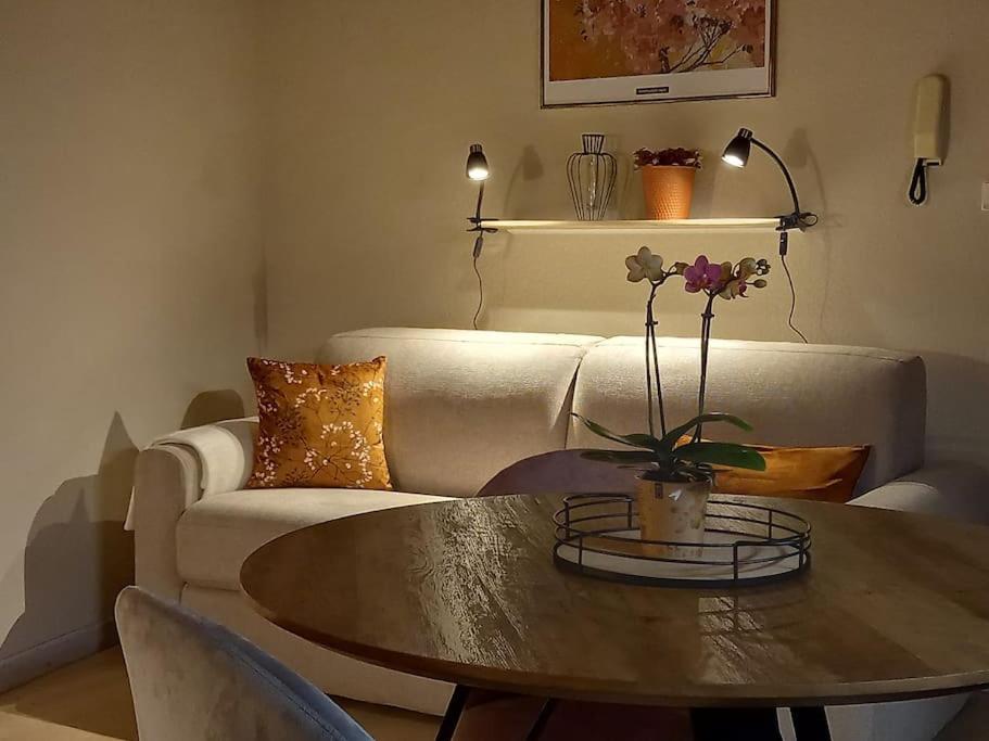 S'Gleina Gleck, In The Heart Of A Wine City, Charmant Studio 1 Piece Et 1 Salle De Bain Kaysersberg-Vignoble Extérieur photo