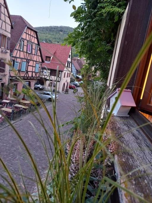 S'Gleina Gleck, In The Heart Of A Wine City, Charmant Studio 1 Piece Et 1 Salle De Bain Kaysersberg-Vignoble Extérieur photo